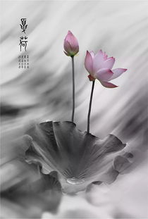 永嘉光影不息 第三屆攝影雙月賽佳作揭曉，第四季征稿正式啟動(dòng)