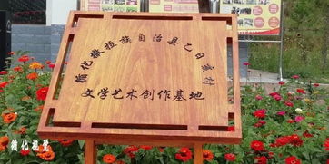循化乙日亥村 花海間綻放的文藝之光——首屆花海文學(xué)藝術(shù)節(jié)感記